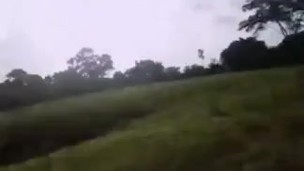 Quien viene a babear mis pelos???