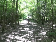 Hoosier Teen Slut Fucks Her Hairy Pussy In Public 3/16