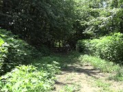 Hoosier Teen Slut Fucks Her Hairy Pussy In Public 5/16