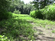 Hoosier Teen Slut Fucks Her Hairy Pussy In Public 6/16