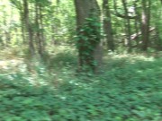 Hoosier Teen Slut Fucks Her Hairy Pussy In Public 7/16