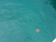 Fishing WITHOUT PANTIES among Fishermen 16/16