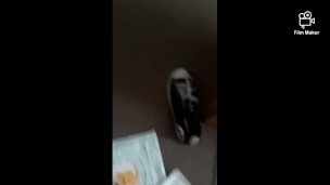 New Sex Toy