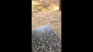 Rest stop masturbation