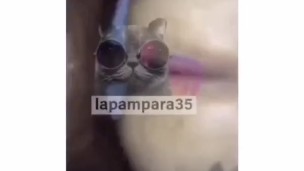  Filtrado Haraca Kiko dando ñema 