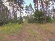 "Пожалуйста не останавливайся закончи в меня" - Screenshot 2 of 16 - Butt