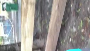 Big dick black guy walking 