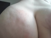 Breeding entry 3, LETS DO THIS! 11/16