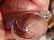 suubby hubby ruined in cage 6/16