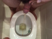 Ops! My morning pee went wrong, I need to clean up. Who wants to help?