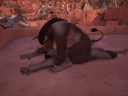 WILD LIFE - Making New Friends - Eps 02 8/16