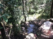 11 INCH BBC PAWG OUTDOOR SUCK & FUCK - @elKonguito & @sweetauroramae 1/16