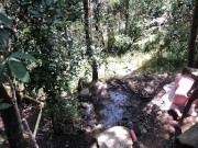 11 INCH BBC PAWG OUTDOOR SUCK & FUCK - @elKonguito & @sweetauroramae 2/16