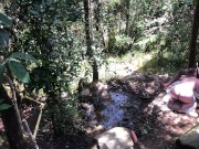 11 INCH BBC PAWG OUTDOOR SUCK & FUCK - @elKonguito & @sweetauroramae 3/16