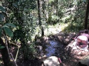 11 INCH BBC PAWG OUTDOOR SUCK & FUCK - @elKonguito & @sweetauroramae 4/16