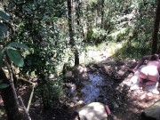 11 INCH BBC PAWG OUTDOOR SUCK & FUCK - @elKonguito & @sweetauroramae 5/16