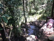 11 INCH BBC PAWG OUTDOOR SUCK & FUCK - @elKonguito & @sweetauroramae 6/16