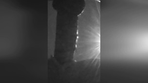 long cock takes a doll