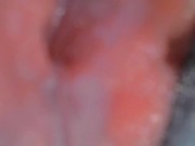 The Inside Of My Pussy While I Cum 4/16