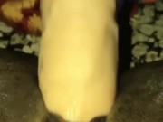 Stud fucks her lesbian and make her cream 9/16