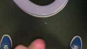 Jerking off in Train Toilets