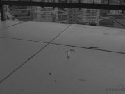 Mistress is smoke and crush cigarette 15/16