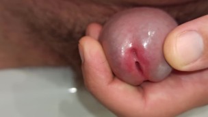 close up pissing and playing with peehole