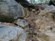 Pee waterfall - Screenshot 11 of 16 - HD