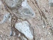 Pee waterfall - Screenshot 14 of 16 - Butt