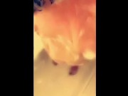 BBW big tits lathered up with soap in the shower
