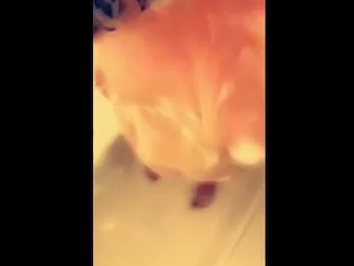 BBW big tits lathered up with soap in the shower