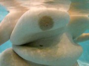 Mrs underwater 001 4/16