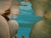 Mrs underwater 005 4k handjob 13/16