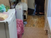 A new morning brings something new. 12/16