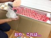 CATDOLL tami 開封動画　可愛い娘が箱から出てくる - Screenshot 3 of 16 - Anime