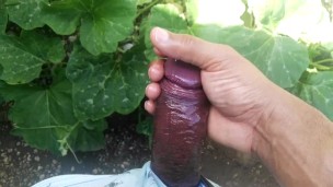 Daddy masturbate cock in the garden