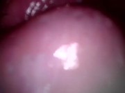Creamy Pussy For You To Lick