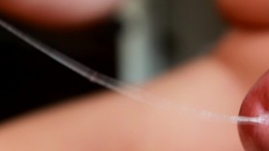 Huge Cock Mega Pre Cum Super Close Up - Cunnilingus King