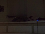 Sexy Boricua Teen Loves Asian Dick 1/16