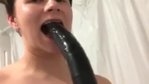 Fans teaser