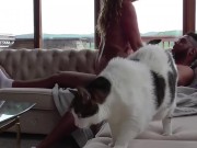 Hotwife fucked senseless by BBC ( 2/16