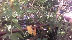 Jon Arteen goes to the park, shows his twink cock, jerks off and cums outdoors with fun