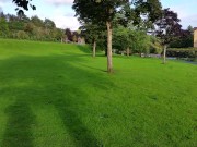 public pissing into my girls mouth 16/16