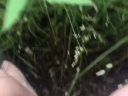 Pee in lake