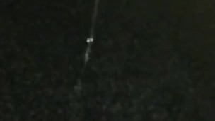 Pissing on the Walk