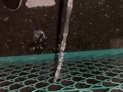 outdoor pee [野外放尿] - Screenshot 7 of 16 - HD