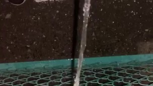 outdoor pee [野外放尿]