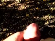 jerking in backyard