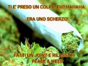 prova greenscreen e effetti video - Screenshot 16 of 16 - HD