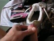 Cumming Franziska DD nice Wmns Shox NZ